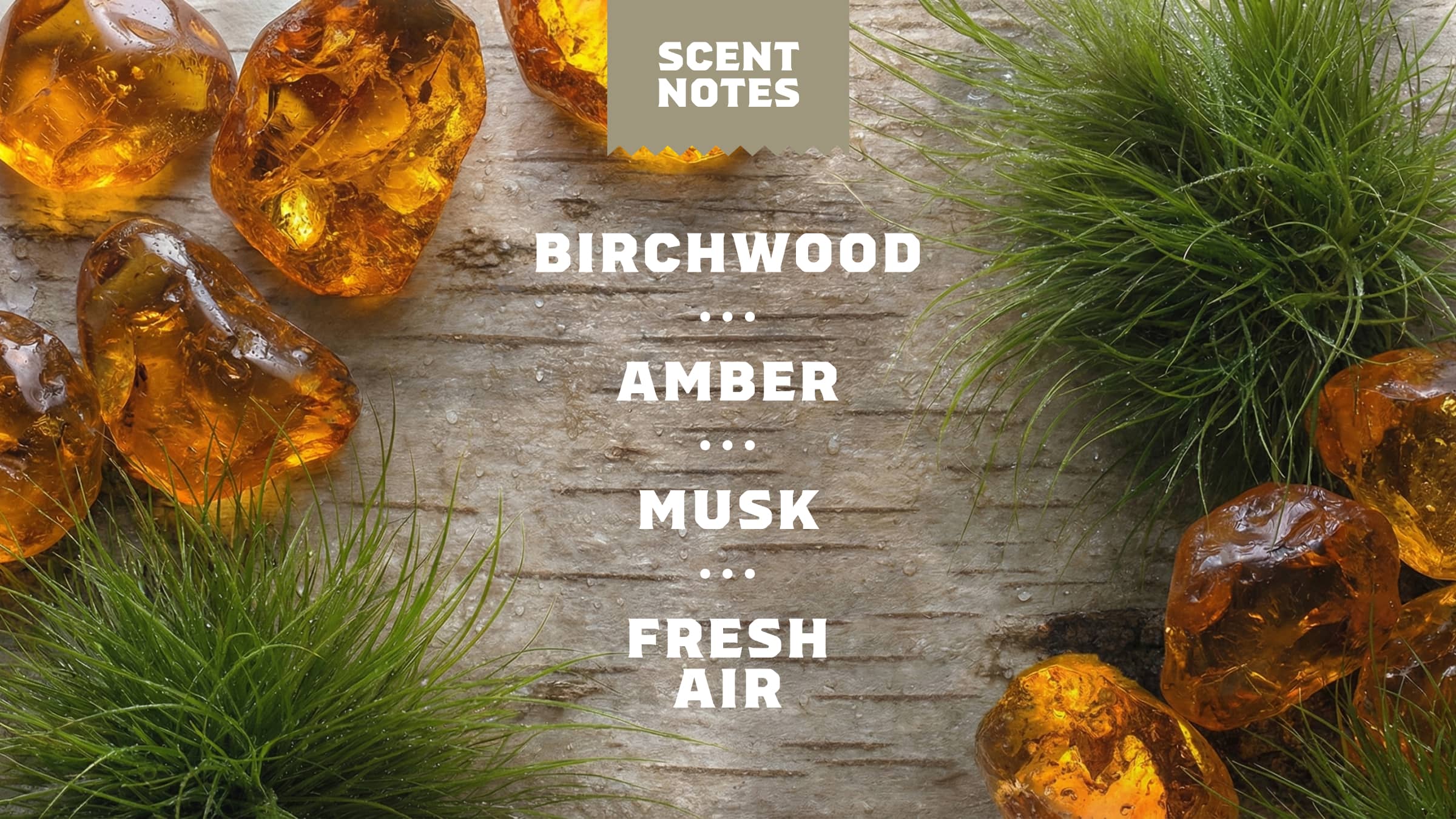 Dr. Squatch Soap Birchwood Breeze Invisible Glide Deodorant - Image 4