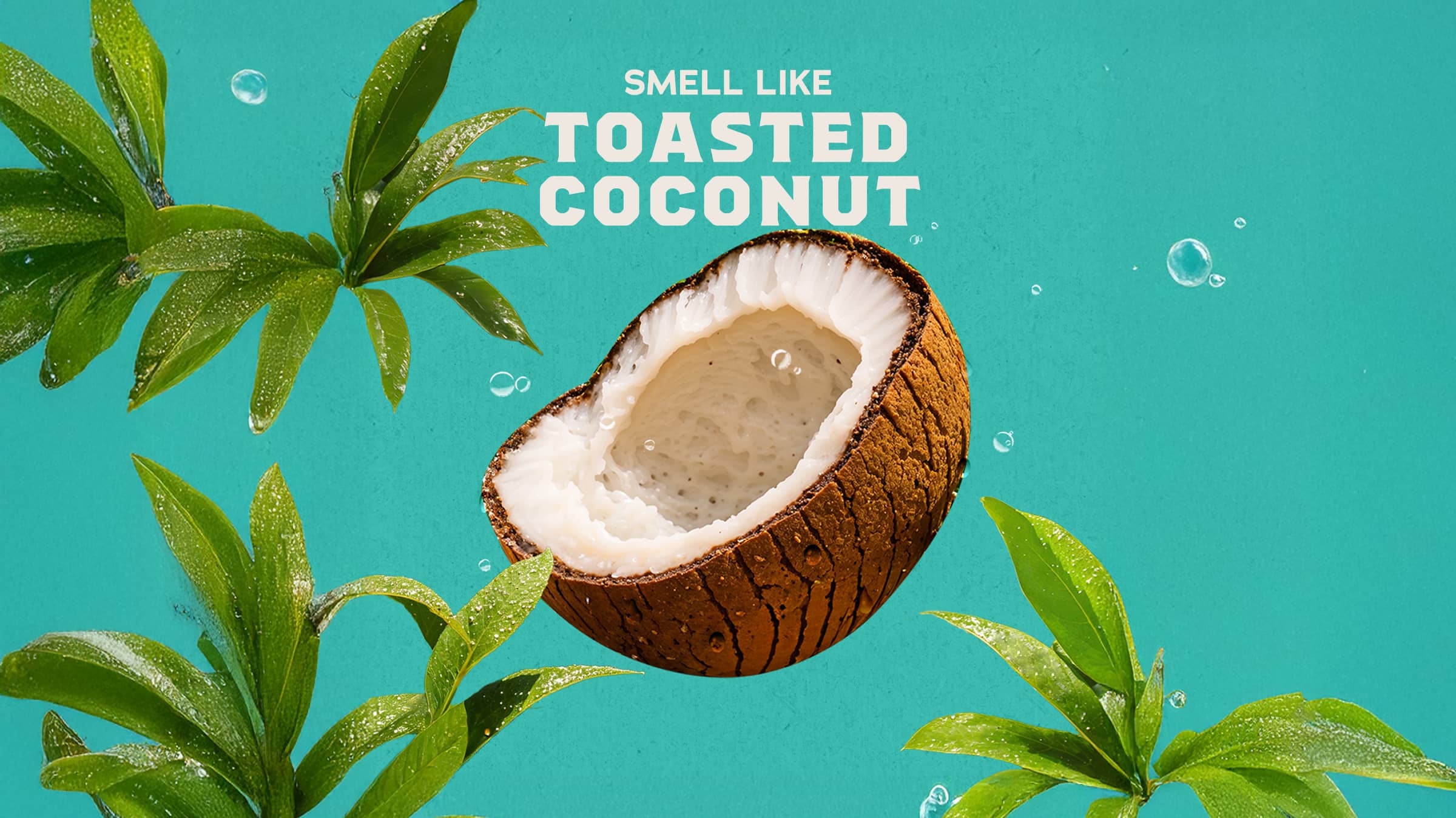 Dr. Squatch Soap Soothing Post Shave Coconut Castaway - Image 2