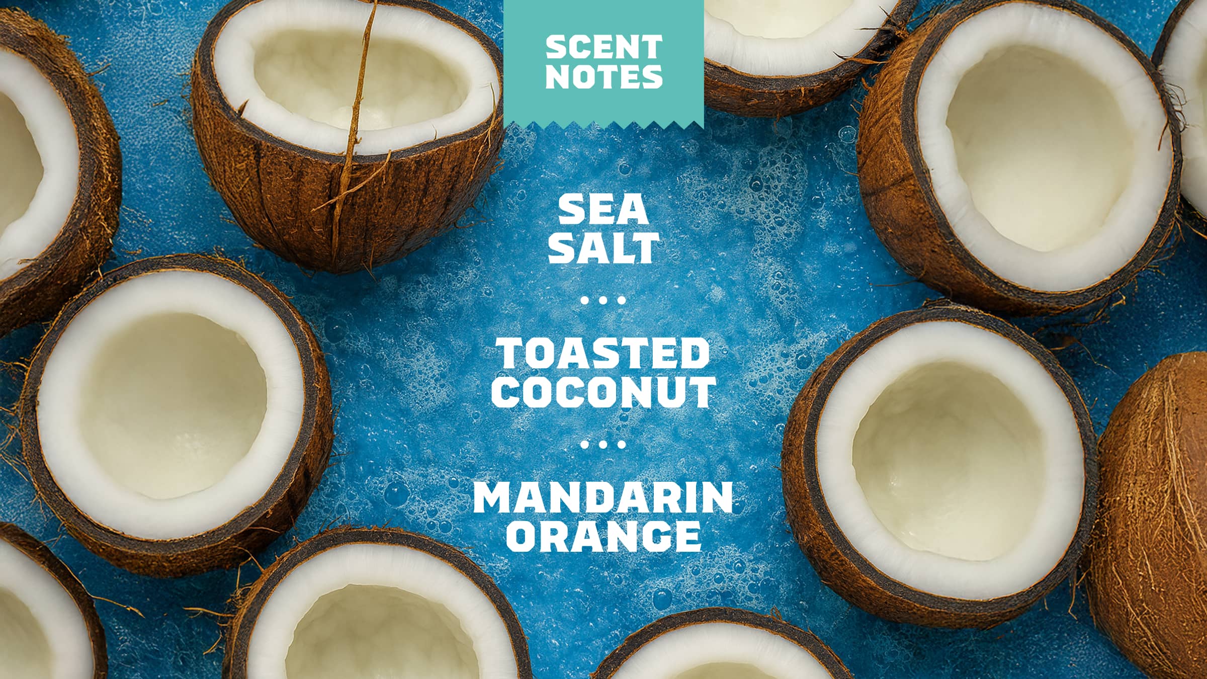 Dr. Squatch Soap Soothing Post Shave Coconut Castaway - Image 5